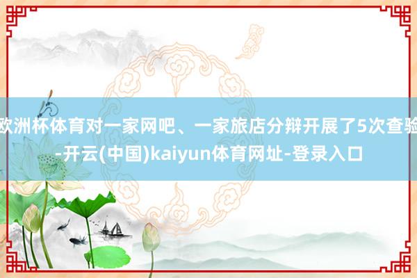 欧洲杯体育对一家网吧、一家旅店分辩开展了5次查验-开云(中国)kaiyun体育网址-登录入口