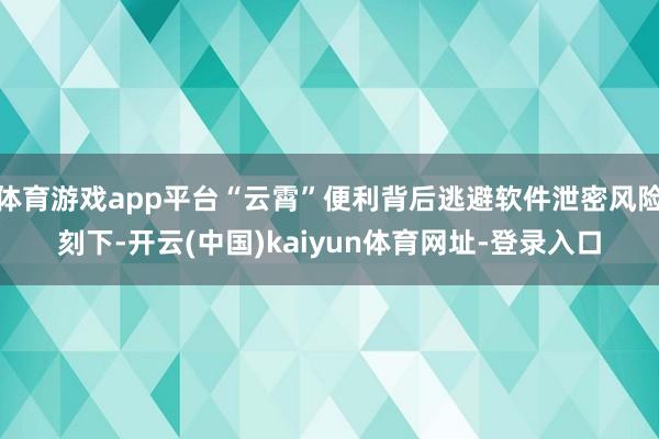 体育游戏app平台“云霄”便利背后逃避软件泄密风险刻下-开云(中国)kaiyun体育网址-登录入口