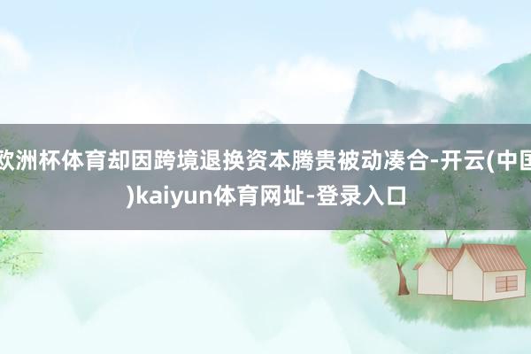 欧洲杯体育却因跨境退换资本腾贵被动凑合-开云(中国)kaiyun体育网址-登录入口